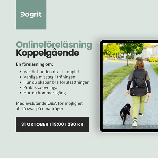Föreläsning: Koppelgående (online)
